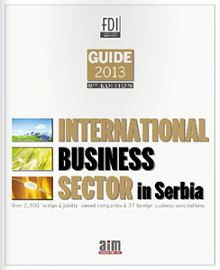 international-business-sector-2013